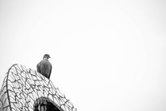 Ein Moment der Stille