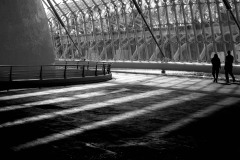 Schritte im Lichtvers