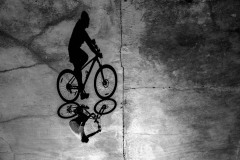 Der Schatten fährt mit, lautlos