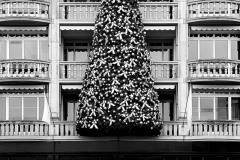 Weihnachtsgeflecht